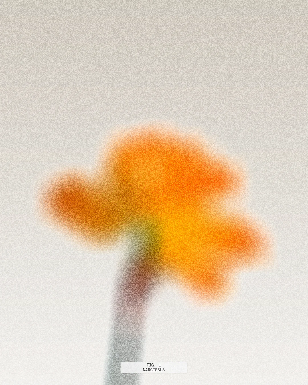 web-FlowerExploration-Fig1