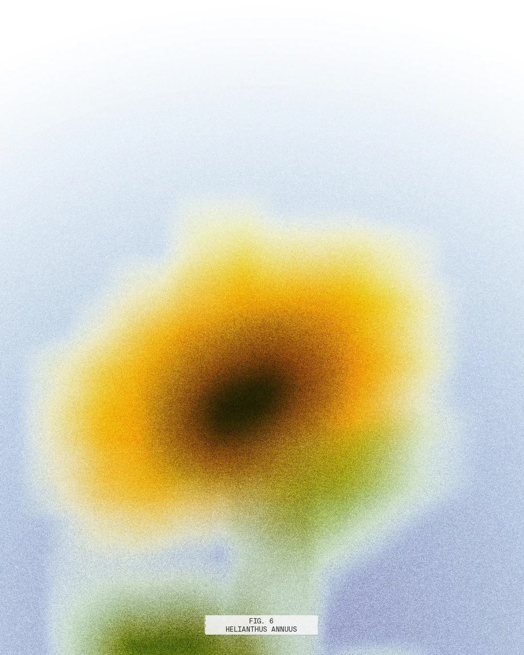 web-FlowerExploration-Fig6